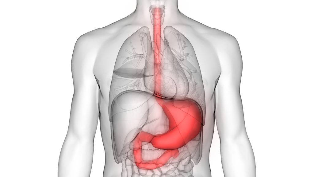 What is Stomach cancer?