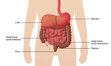 What is chronic idiopathic constipation?